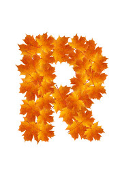 Similar image 230347