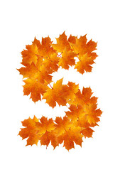 Similar image 230349