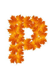 Similar image 230351