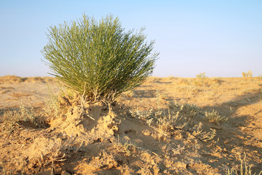 Similar image 230383