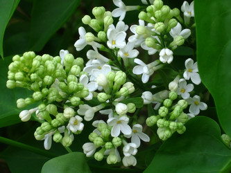 Similar image 230389