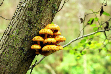 Similar image 230394