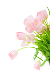 Similar image 230396