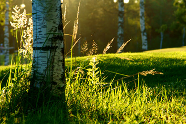 Similar image 230402