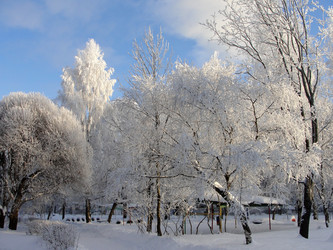 Similar image 230407