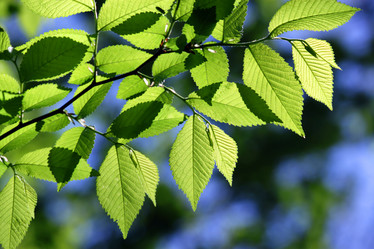 Similar image 230421