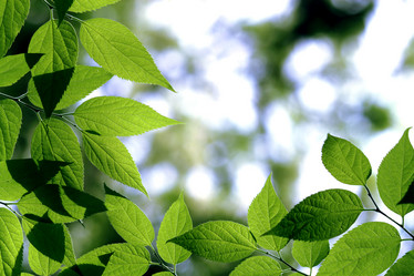 Similar image 230422