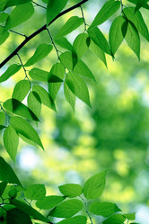 Similar image 230423