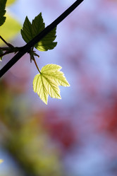 Similar image 230447