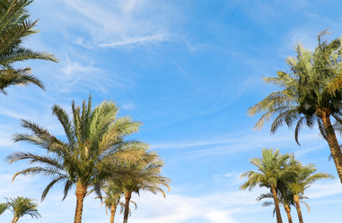 Similar image 230458