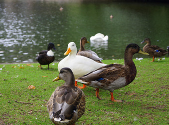 Similar image 230460