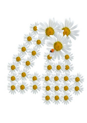 Similar image 230463