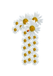 Similar image 230464