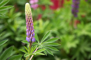 Similar image 230471