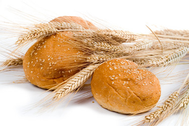 Similar image 230479