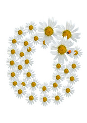 Similar image 230482