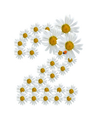 Similar image 230484