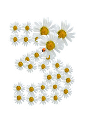 Similar image 230485