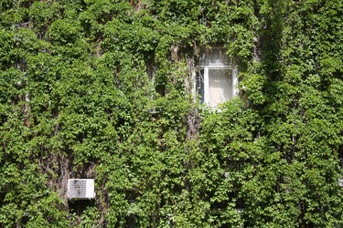 Similar image 230488