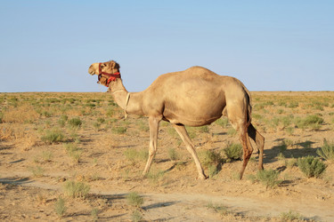 Similar image 230494