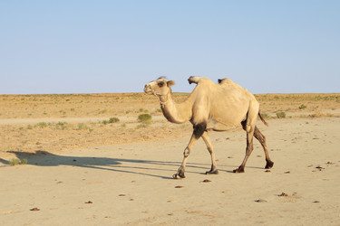 Similar image 230496