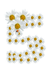 Similar image 230501