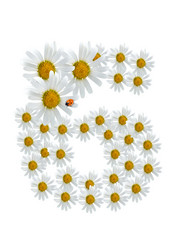 Similar image 230505