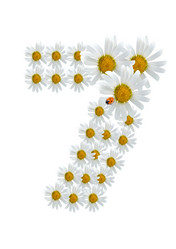 Similar image 230506