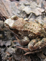 Similar image 230508