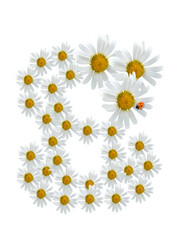 Similar image 230511