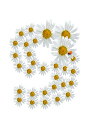 Similar image 230512