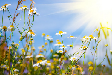 Similar image 230516