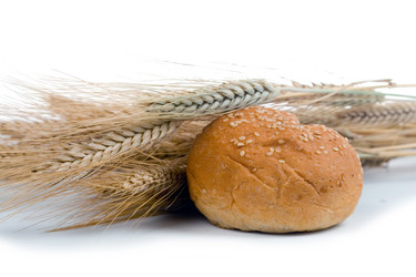 Similar image 230518