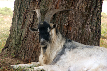 Similar image 230536