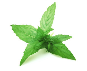 Similar image 230539