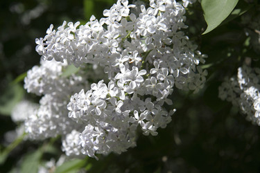 Similar image 230541