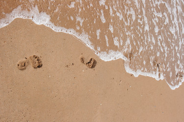 Similar image 230544