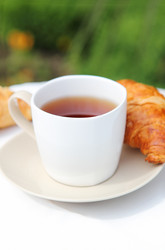 Similar image 230571