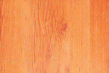 Similar image 230588