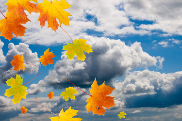 Similar image 230597