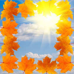 Similar image 230599