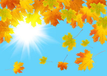 Similar image 230603