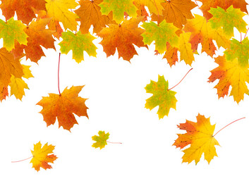 Similar image 230611