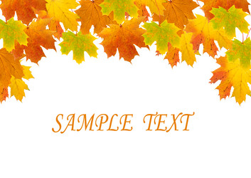 Similar image 230612