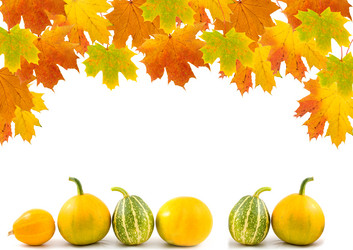 Similar image 230613