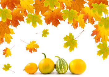 Similar image 230614