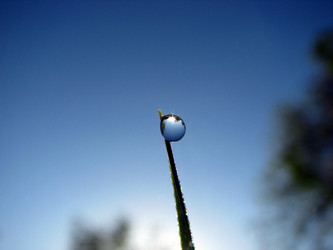 Similar image 230626