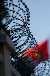 Similar image 230653