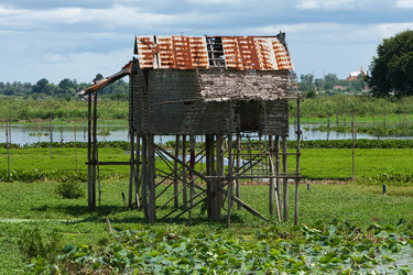 Similar image 230655