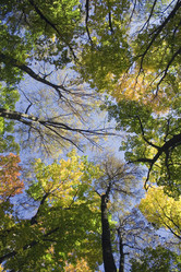 Similar image 230663